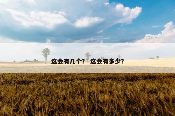 这会有几个？ 这会有多少？