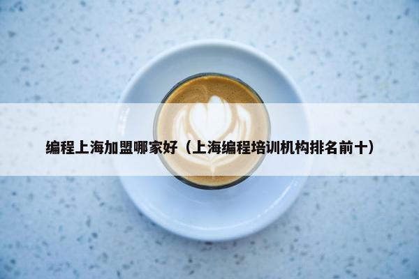 编程上海加盟哪家好（上海编程培训机构排名前十）